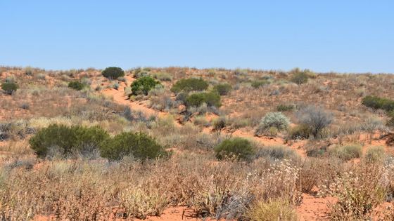 Material: Red-dirt reference
